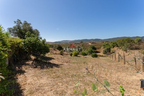 Villa i Odemira, Beja, Odemira - € 395.000 | Ref: ACA640 - foto 11