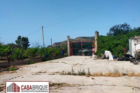 Villa i Bagheria, Palermo, Bagheria - € 150.000 | Ref: BA069VD - foto 10