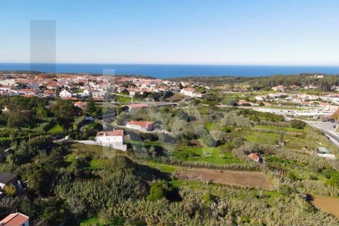 Helårsgrund i Sintra, Lisbon, Sintra - € 265.000 | Ref: KWPT-019271 - foto 5