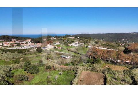 Helårsgrund i Sintra, Lisbon, Sintra - € 265.000 | Ref: KWPT-019271 - foto 7