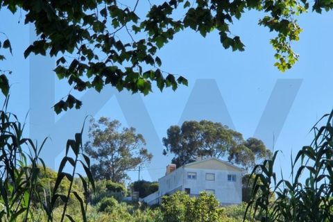 Helårsgrund i Sintra, Lisbon, Sintra - € 265.000 | Ref: KWPT-019271 - foto 12