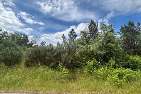 Helårsgrund i Mangualde, Viseu, Mangualde - € 35.000 | Ref: 389250150 - foto 2