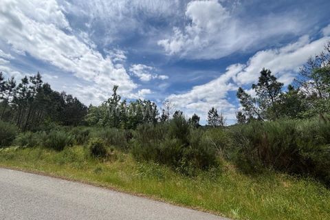 Helårsgrund i Mangualde, Viseu, Mangualde - € 35.000 | Ref: 389250150 - foto 3
