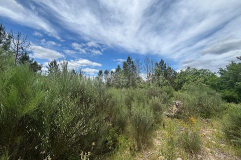 Helårsgrund i Mangualde, Viseu, Mangualde - € 35.000 | Ref: 389250150 - foto 5