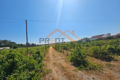 Helårsgrund i Palmela, Setubal, Palmela - € 200.000 | Ref: PP5623 - foto 1