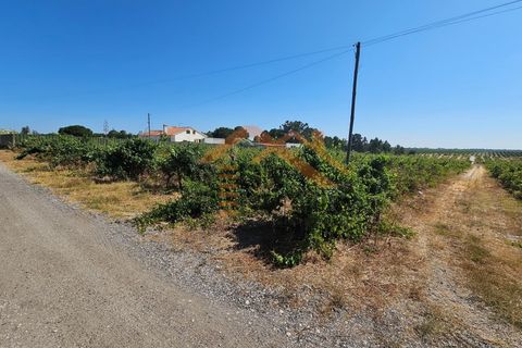 Helårsgrund i Palmela, Setubal, Palmela - € 200.000 | Ref: PP5623 - foto 9