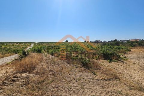 Helårsgrund i Palmela, Setubal, Palmela - € 200.000 | Ref: PP5623 - foto 10