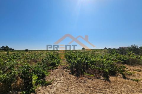 Helårsgrund i Palmela, Setubal, Palmela - € 200.000 | Ref: PP5623 - foto 12