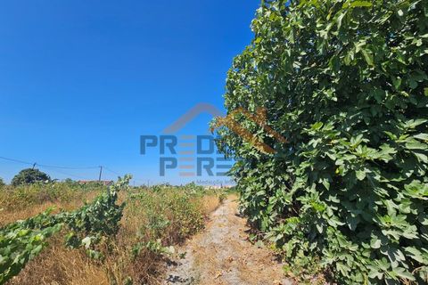 Helårsgrund i Palmela, Setubal, Palmela - € 200.000 | Ref: PP5623 - foto 14