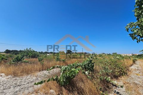 Helårsgrund i Palmela, Setubal, Palmela - € 200.000 | Ref: PP5623 - foto 15