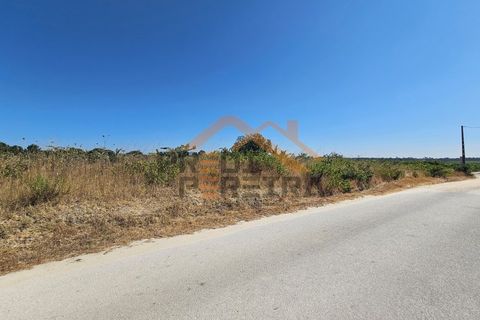 Helårsgrund i Palmela, Setubal, Palmela - € 200.000 | Ref: PP5623 - foto 16