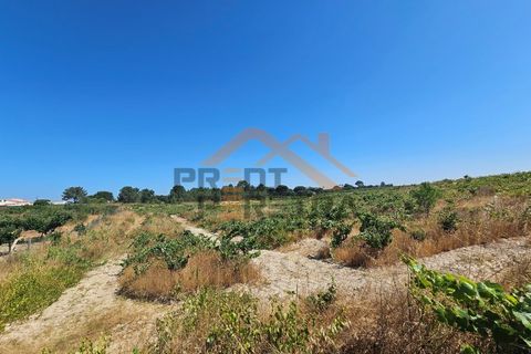 Helårsgrund i Palmela, Setubal, Palmela - € 200.000 | Ref: PP5623 - foto 17