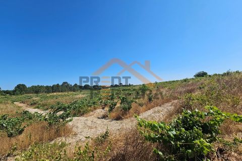 Helårsgrund i Palmela, Setubal, Palmela - € 200.000 | Ref: PP5623 - foto 18