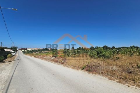 Helårsgrund i Palmela, Setubal, Palmela - € 200.000 | Ref: PP5623 - foto 19