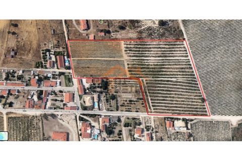 Helårsgrund i Palmela, Setubal, Palmela - € 200.000 | Ref: PP5623 - foto 3