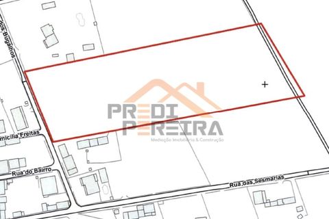 Helårsgrund i Palmela, Setubal, Palmela - € 200.000 | Ref: PP5623 - foto 20