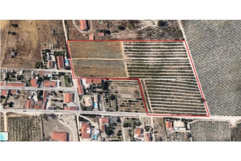 Helårsgrund i Palmela, Setubal, Palmela - € 200.000 | Ref: PP5623 - foto 26