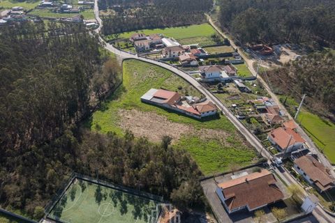 Helårsgrund i Estarreja, Aveiro, Estarreja - € 60.000 | Ref: 292-OVR - foto 5