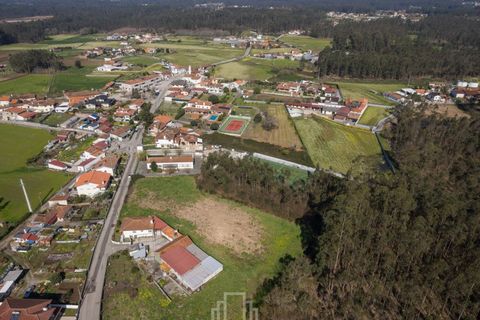 Helårsgrund i Estarreja, Aveiro, Estarreja - € 60.000 | Ref: 292-OVR - foto 6
