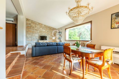 Villa i Narni, Terni, Narni - € 460.000 | Ref: CBI134-1917-181 - foto 9