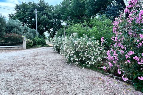 Villa a Montecassiano, Macerata, Montecassiano - € 280.000 | Ref: 114959 - foto 46