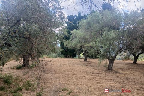 Tomt i Caltagirone, Catania, Caltagirone - € 19 500 | Ref: TRT-8920 - foto 5