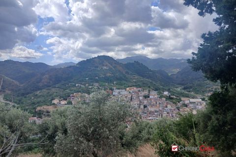 Tomt i Caltagirone, Catania, Caltagirone - € 19 500 | Ref: TRT-8920 - foto 6