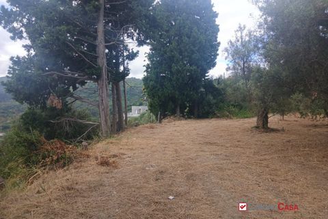 Tomt i Caltagirone, Catania, Caltagirone - € 19 500 | Ref: TRT-8920 - foto 9
