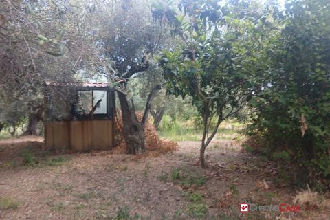 Tomt i Caltagirone, Catania, Caltagirone - € 19 500 | Ref: TRT-8920 - foto 10