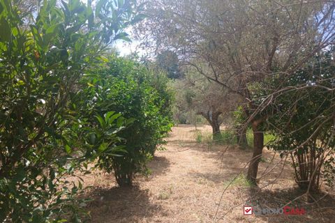 Tomt i Caltagirone, Catania, Caltagirone - € 19 500 | Ref: TRT-8920 - foto 14