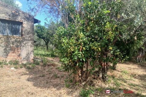 Tomt i Caltagirone, Catania, Caltagirone - € 19 500 | Ref: TRT-8920 - foto 15