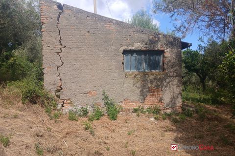 Tomt i Caltagirone, Catania, Caltagirone - € 19 500 | Ref: TRT-8920 - foto 16