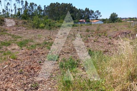 Helårsgrund i Estarreja, Aveiro, Estarreja - € 14.000 | Ref: 1060895/24 AL - foto 4
