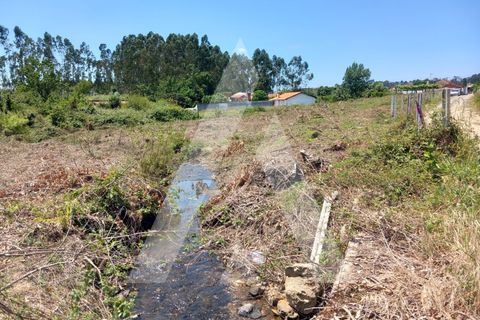 Helårsgrund i Estarreja, Aveiro, Estarreja - € 14.000 | Ref: 1060895/24 AL - foto 8