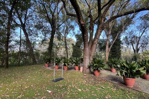 Villa a Mantua, Mantua, Mantua - € 5.000/mes | Ref: 6100 - foto 11