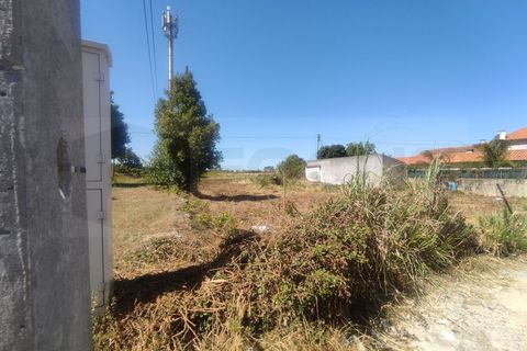 Helårsgrund i Aveiro, Aveiro, Aveiro - € 100.000 | Ref: 11183 - foto 2