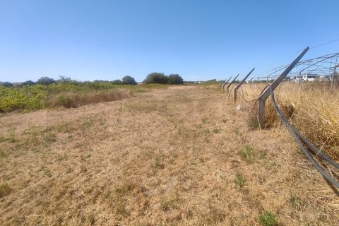 Helårsgrund i Aveiro, Aveiro, Aveiro - € 100.000 | Ref: 11183 - foto 17