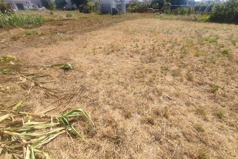 Helårsgrund i Aveiro, Aveiro, Aveiro - € 100.000 | Ref: 11183 - foto 18