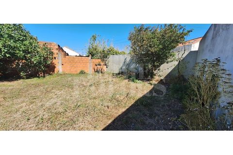 Helårsgrund i Torres Vedras, Lisbon, Torres Vedras - € 220.000 | Ref: HT_50159 - foto 10