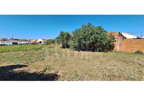Helårsgrund i Torres Vedras, Lisbon, Torres Vedras - € 220.000 | Ref: HT_50159 - foto 12