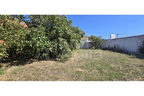 Helårsgrund i Torres Vedras, Lisbon, Torres Vedras - € 220.000 | Ref: HT_50159 - foto 13