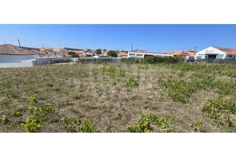 Helårsgrund i Torres Vedras, Lisbon, Torres Vedras - € 220.000 | Ref: HT_50159 - foto 15