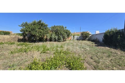 Helårsgrund i Torres Vedras, Lisbon, Torres Vedras - € 220.000 | Ref: HT_50159 - foto 17