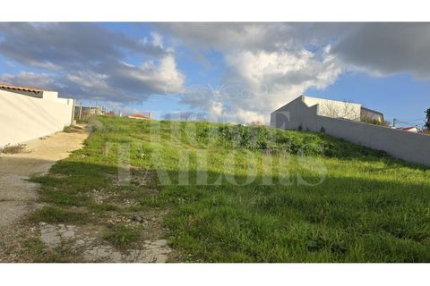 Helårsgrund i Torres Vedras, Lisbon, Torres Vedras - € 220.000 | Ref: HT_50159 - foto 6
