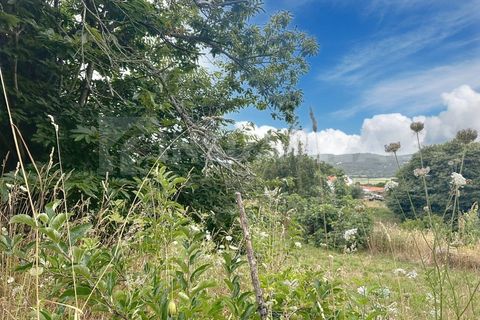 Helårsgrund i Caminha, Viana do Castelo, Caminha - € 220.000 | Ref: 2667 - foto 14