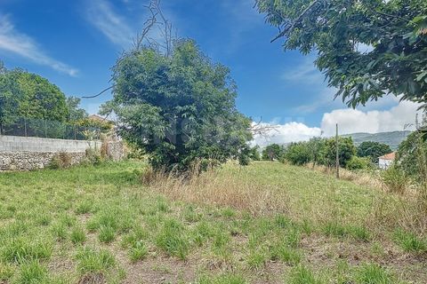 Helårsgrund i Caminha, Viana do Castelo, Caminha - € 220.000 | Ref: 2667 - foto 15