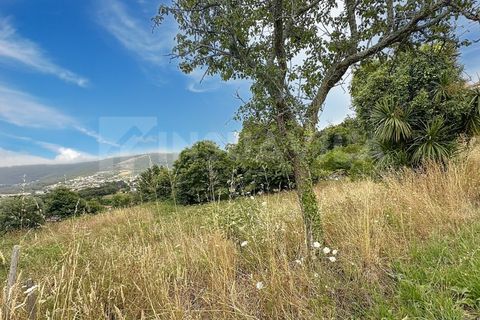 Helårsgrund i Caminha, Viana do Castelo, Caminha - € 220.000 | Ref: 2667 - foto 22