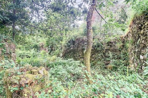 Villa i Candemil e Gondar, Viana do Castelo, Candemil e Gondar - € 85.000 | Ref: 2648 - foto 15