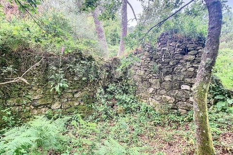 Villa i Candemil e Gondar, Viana do Castelo, Candemil e Gondar - € 85.000 | Ref: 2648 - foto 16