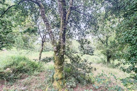Villa i Candemil e Gondar, Viana do Castelo, Candemil e Gondar - € 85.000 | Ref: 2648 - foto 18